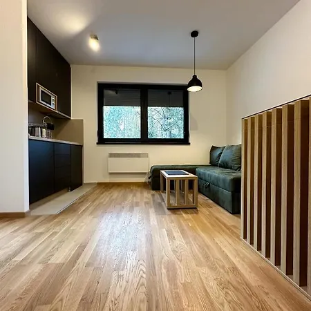 Sofija Apartament Zlatibor